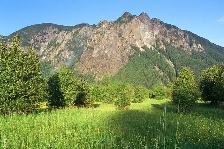 Seattle Wine & Snoqualmie Falls Highlights Tour