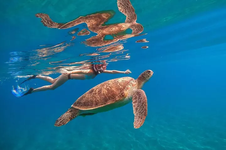5 in 1 Deluxe Cruise: Turtle Snorkeling, Activities and Pick-Up