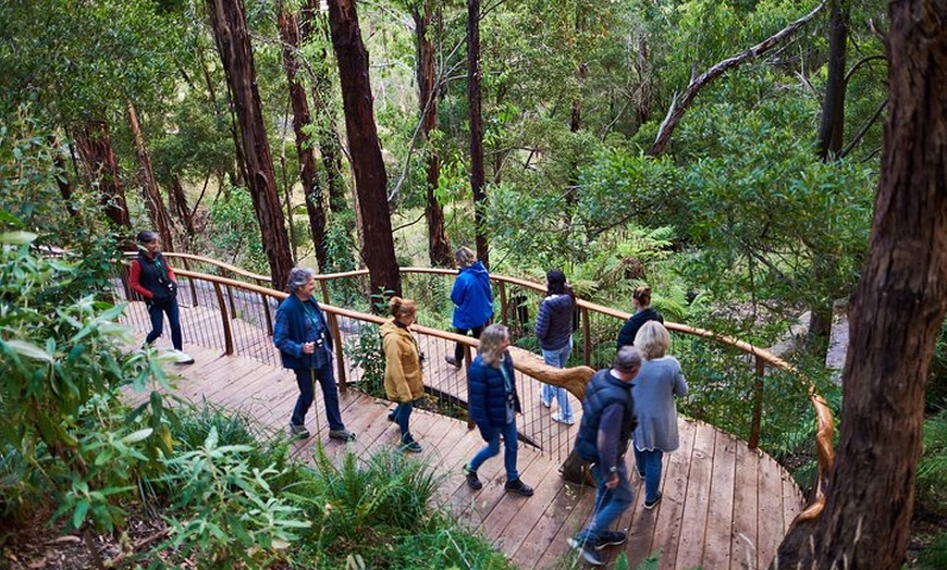 Image 3: Dusk Discovery Tour