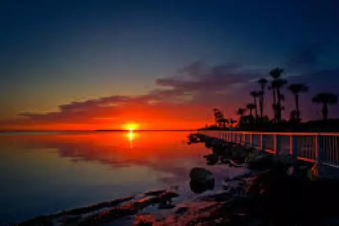 Private Sunset and Dolphin Boat Tour - Primary Image