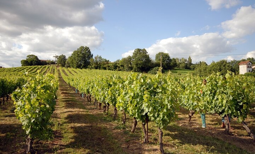 Image 4: Visite d'Albi et du village de Cordes-sur-Ciel, dégustation de vins...