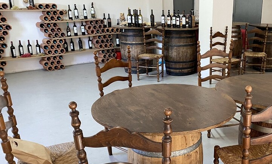 Image 51: Visita Teatro Castillo de Sagunto Vino Romano de Valencia