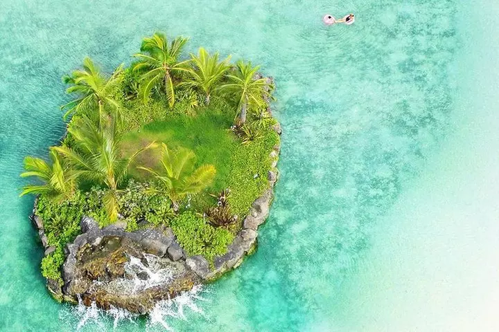 Honolulu Like a Local: Customized Private Tour - Primary Image