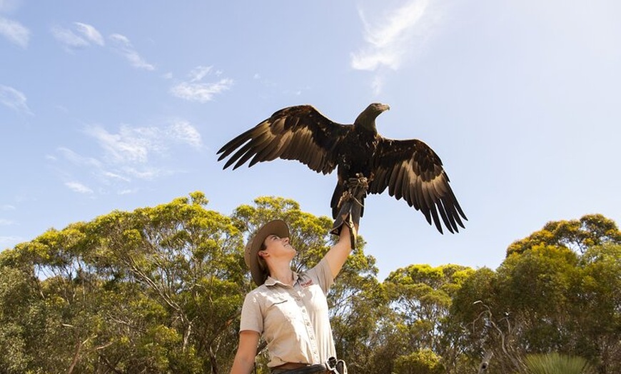 Image 2: One Day Kangaroo Island Sip & See tour with return ferry transfers ...