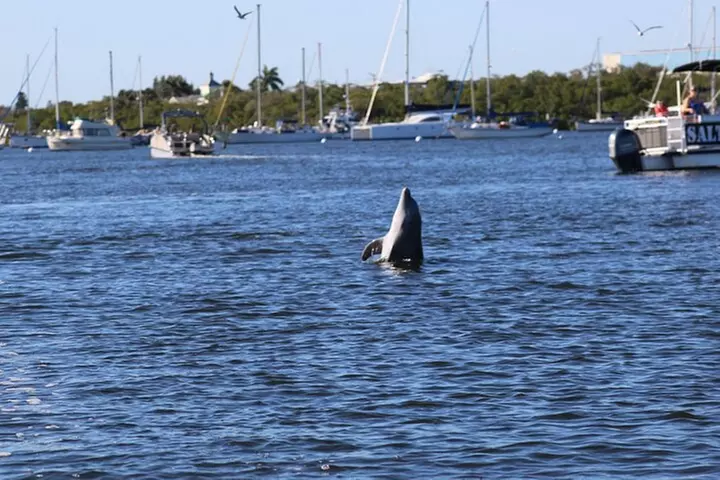 Sunset Dolphin Cruise with Sanibel Lighthouse Views