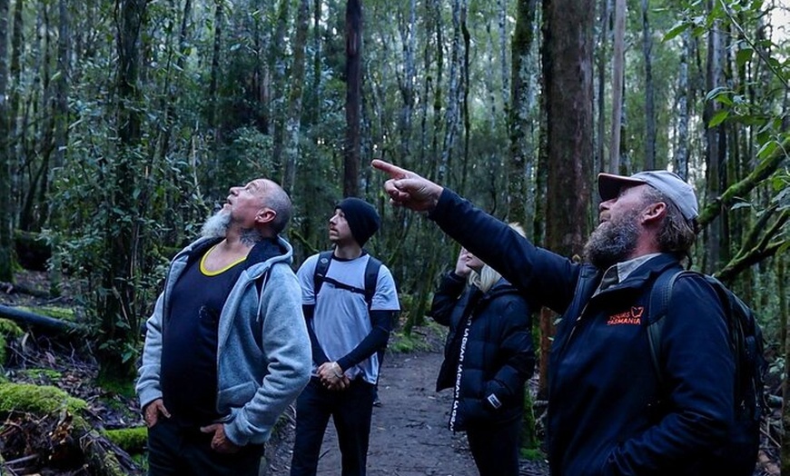 Image 7: Hobart: 7hr Shore Excursion: Mt. Field, Russell Falls & Wildlife