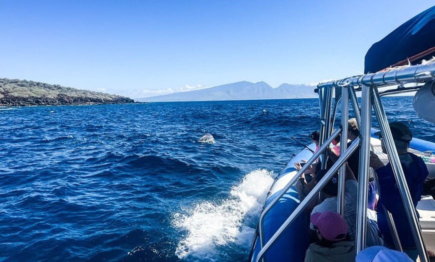Image 38: Maui to Lanai Semi-Private Eco Raft Snorkel and/or Dolphin Tour