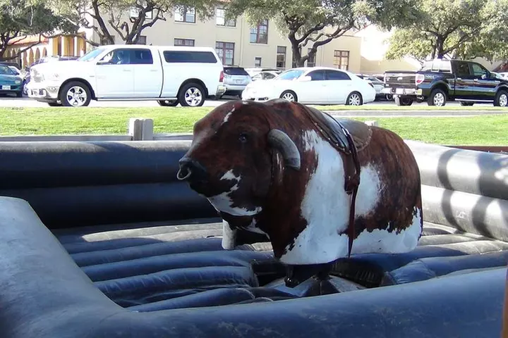 Dallas and Fort Worth City Sightseeing Tour Small-Group