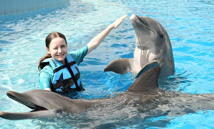 Image 7: Tulum & Dolphin Connection from Cancun