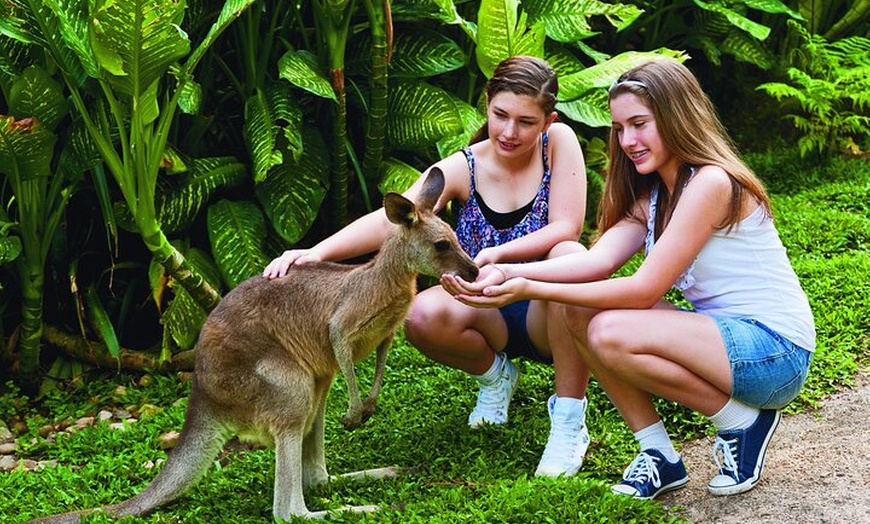 Image 4: Kuranda Wildlife Experience Deluxe Multi Attraction Pass