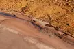 Ayers Rock and Kata Tjuta 1-Hour Scenic Flight: Lizard Safari - Image 6