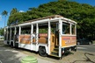 Waikiki Trolley Blue Line Coastline & Local Grindz Hop-on Hop-off - Second Medium