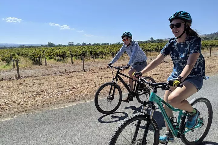 McLaren Vale Wine Tour by E-Bike (Private & Small Group)