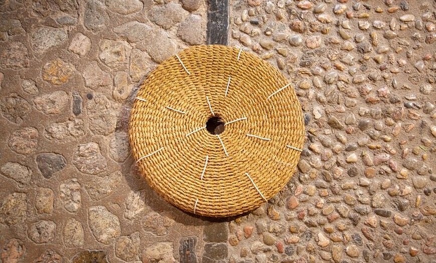 Image 6: Visita Guiada de Cata en Casa del siglo XVI y Fábrica de Aceite de ...