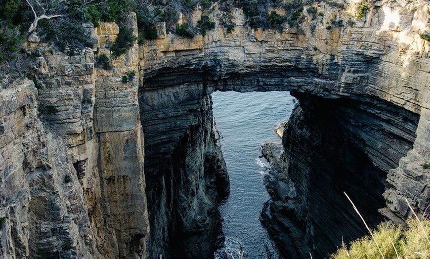 Image 8: Port Arthur, Richmond and Tassie Devils Active Tour from Hobart