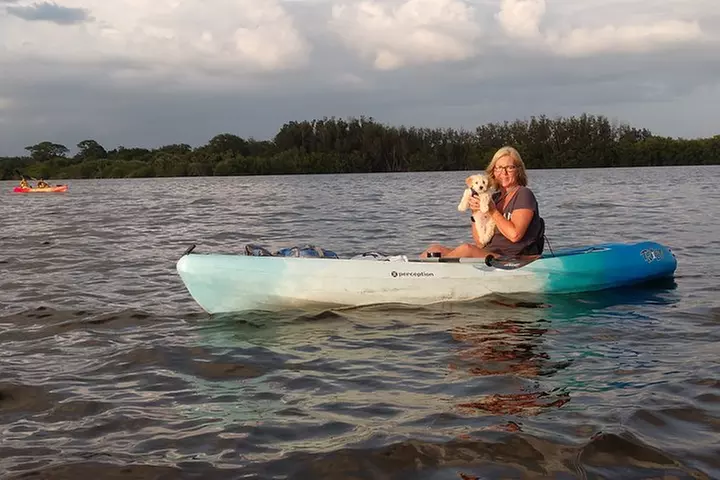 Guided Kayak Tour with Manatee & Dolphin Sightings
