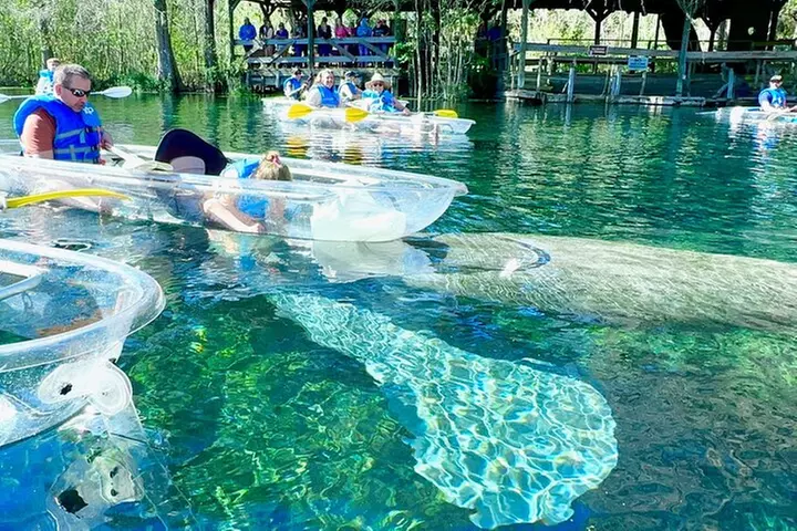 Sassy's Silver Springs Kayak and Paddleboard Tours - Primary Image