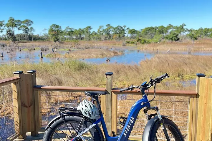 State Park E-Bike Tour: Alligators, Pier, & More [SELF-GUIDED]