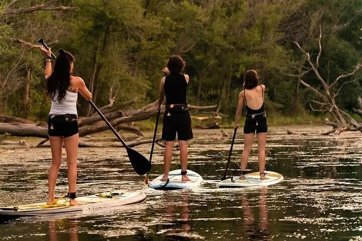 Paddleboard Eco Tour in Toronto Islands, Canada - Primary Image