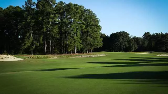 Online Booking - Round of Golf at Longleaf Golf & Family Club - Primary Image