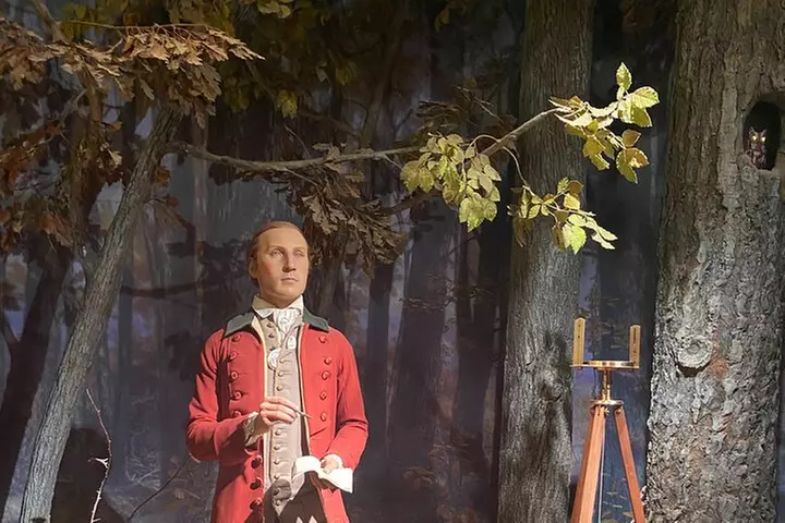 Full-Day Tour of Washington DC with Mount Vernon & Old Alexandria