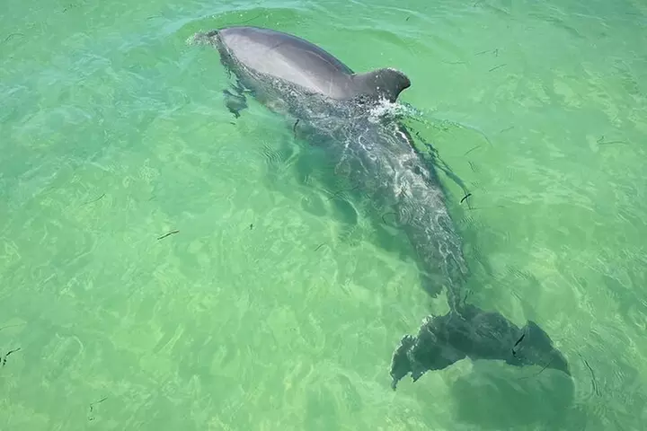 Clearwater Beach Private Pontoon Boat Tours