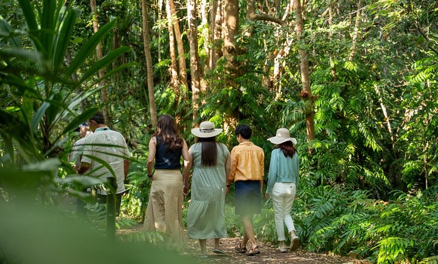 Image 3: Cairns: Waterfall, Wetlands & Kuranda Scenic Rail All Inclusive