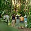 Image 3: Cairns: Waterfall, Wetlands & Kuranda Scenic Rail All Inclusive