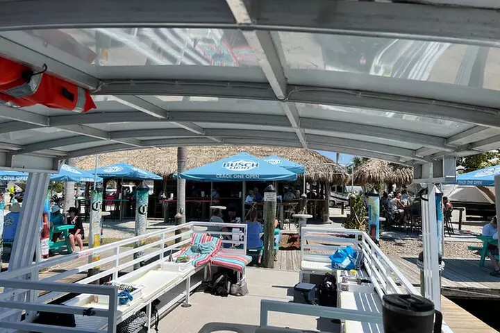 2 HR Dolphin Tour for 7 people