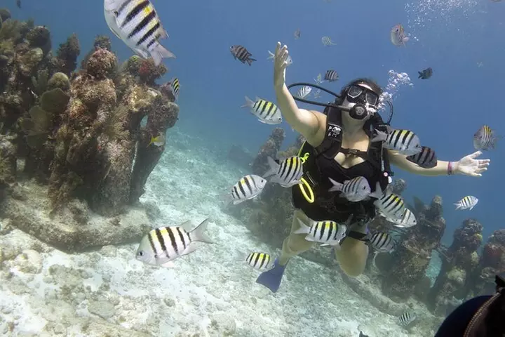 PADI Discover Scuba Diving for divers without certification - Primary Image