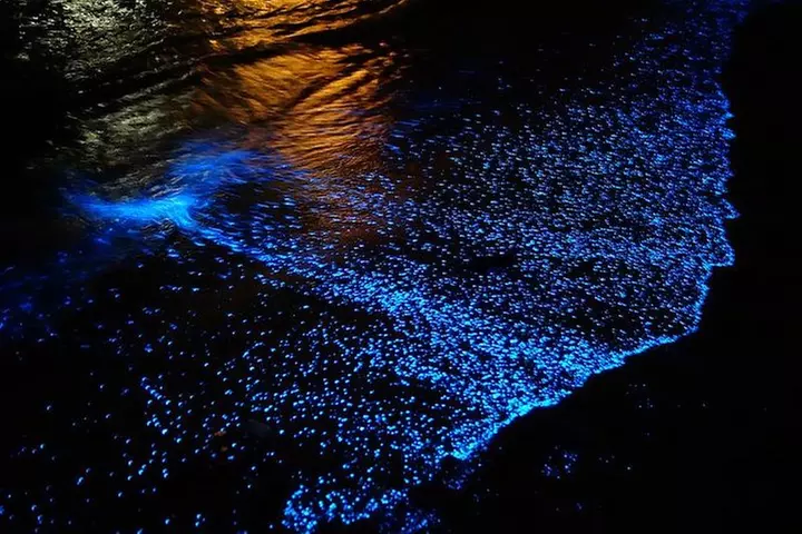 Florida Bioluminescence Kayaking Tour (Titusville)