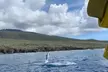2 Hour Maui Dolphin Watch Sightsee Raft Tour (Semi-Private) - Second Medium