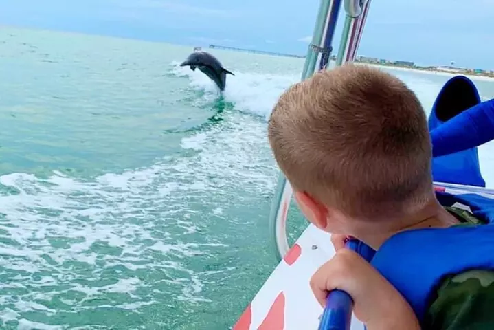Dolphin-Watching Speedboat Cruise in Destin Harbor - Primary Image