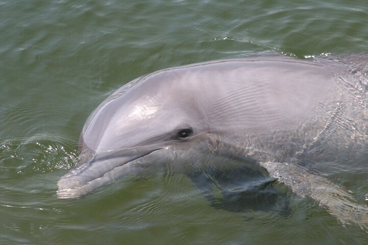 Everglades National Park Boat Tour