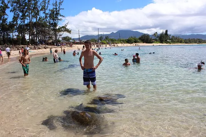 Oahu Circle Island: Snorkel with Turtles & Explore Turtle Beach