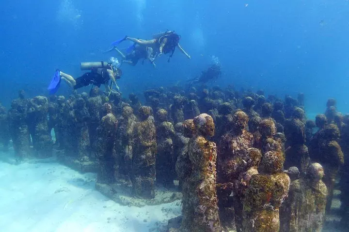2 Tank Dive MUSA and Reef - Primary Image