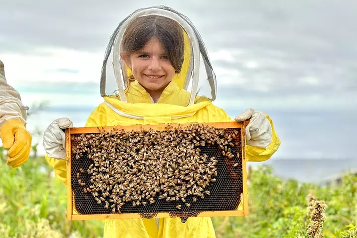 Honey Bee Adventure at the Maui Honey Bee Sanctuary