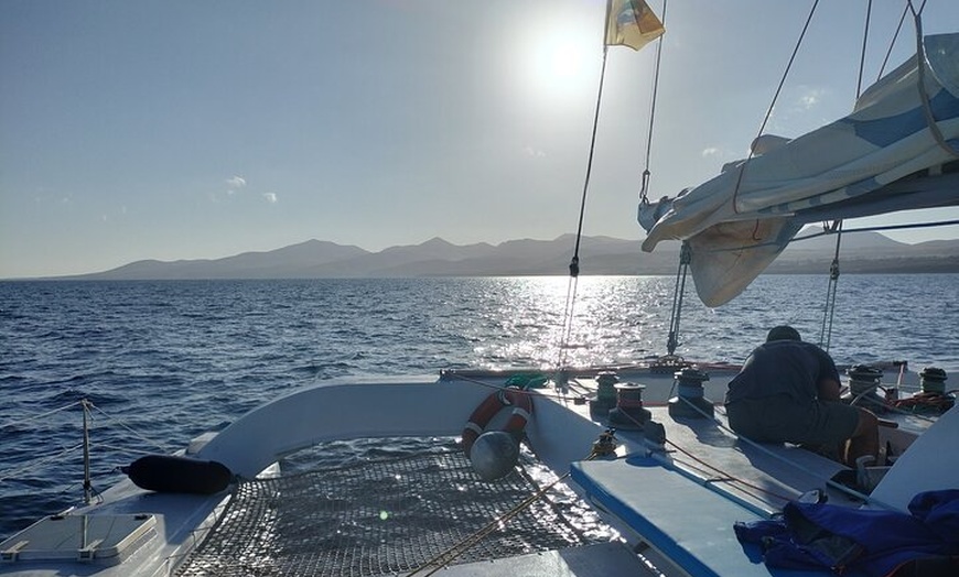 Image 4: Puesta de sol con Delfines en catamarán eléctrico