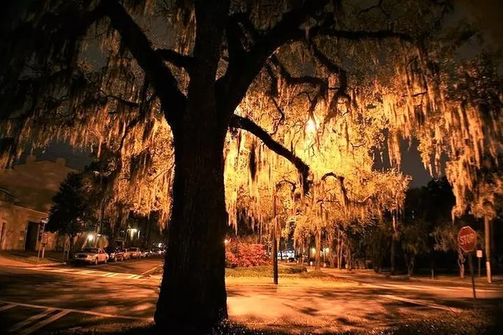 Savannah's 13 Ghosts, Voodoo, Murder & Mystery Tour