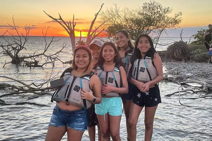 Wildlife Refuge Dolphin, Manatee & Mangrove Kayak or Paddleboarding...