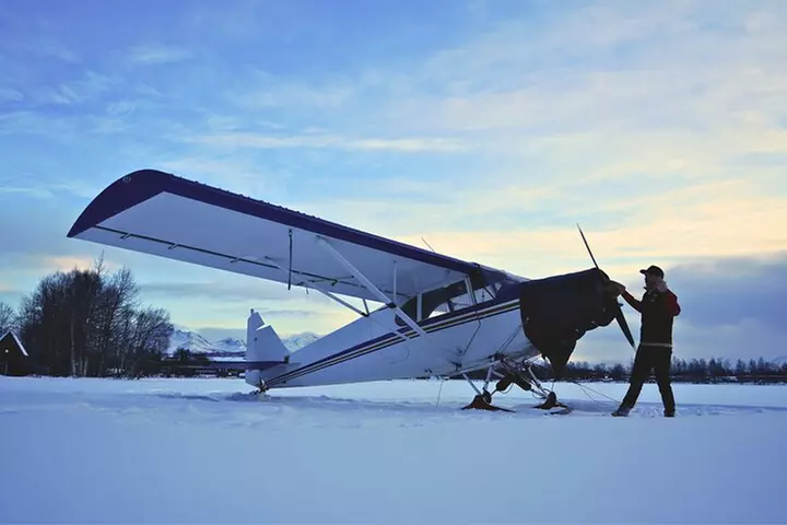 Anchorage's Winter City Tour = Samples + Stops + WildLife
