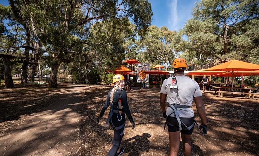 Image 6: Tree Top Activity for Thrill Seekers and Adventurers in Adelaide