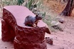 Zion National Park Small Group Tour from Las Vegas - Second Medium