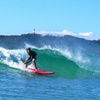 Image 4: Surfing Lessons at Byron Bay Surf School