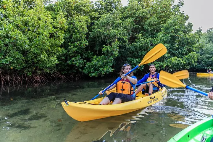 Bio Bay Night Kayaking with Transport from San Juan Area - Primary Image