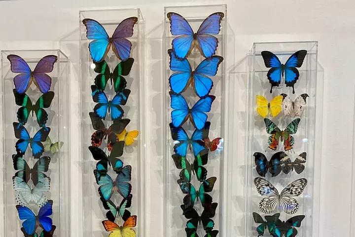 Ft. Lauderdale to Key West Day Trip Quality Day Tours