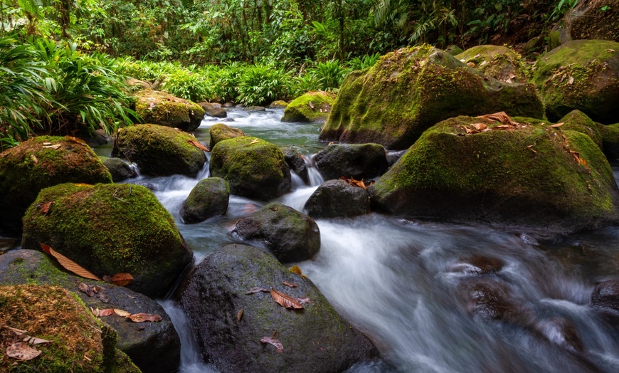 Image 10: ✈ COSTA RICA | De San José à Manuel Antonio - Entre Jungle, Plage E...