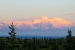 Fairbanks to Denali Shuttle Service - Second Medium