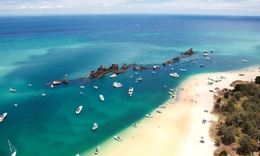 Image 2: Adventure Moreton Island Scuba Dive Tour