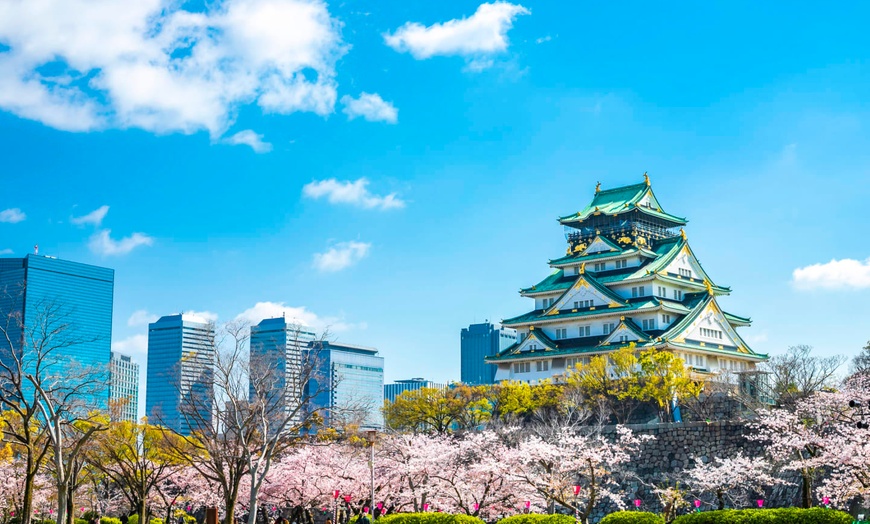 Image 23: ✈ JAPAN | From Tokyo to Osaka - Japan's must-sees 3* - Tour